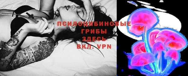 стаф Белокуриха