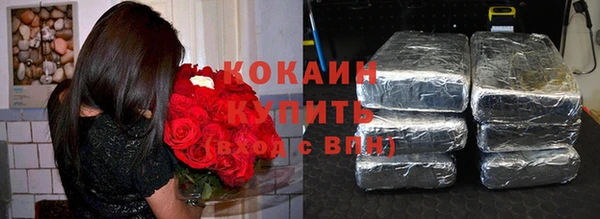 стаф Белокуриха