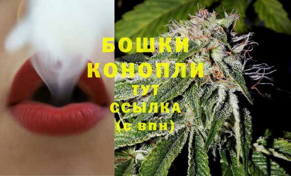 стаф Белокуриха