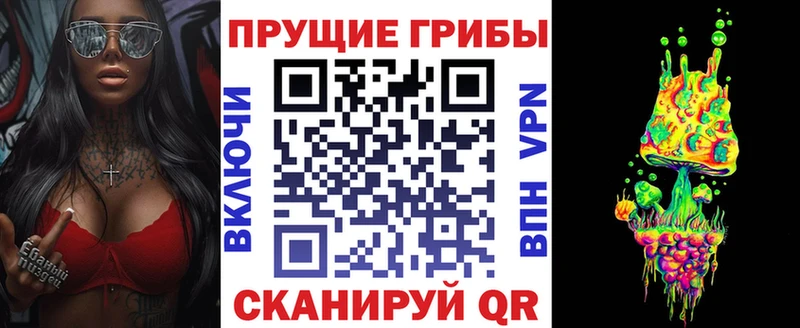 Галлюциногенные грибы Psilocybe  Навашино 
